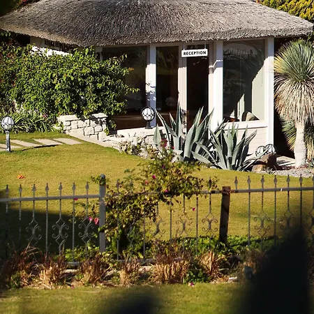 Marin * אלאקאטי