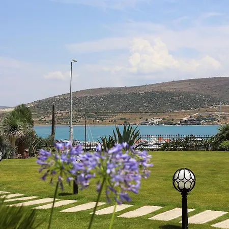 Marin Αλακάτι