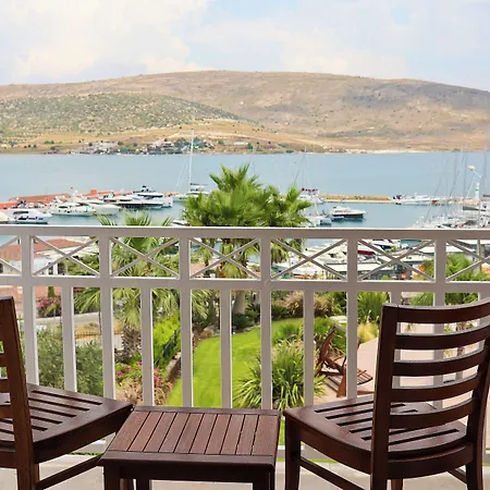 Marin אלאקאטי